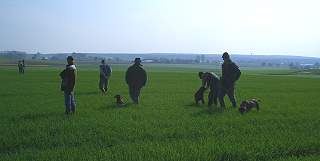 vjp zv feld