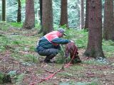 Vswp05 Amsel