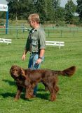 Zuchtschau05 Artus