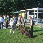 Zuchts08 1