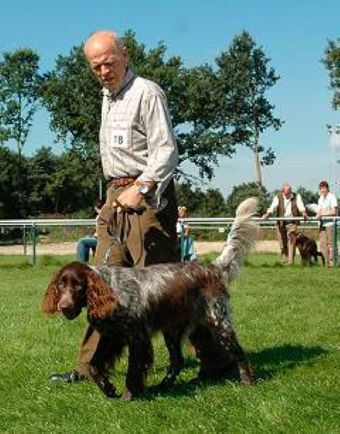 Hans Ehmann