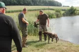 WÜT2019 1