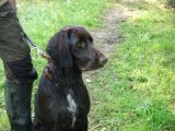 HZP23 03