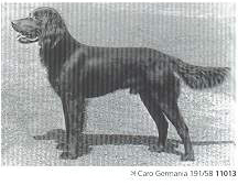 caro germania