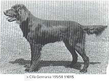 cila germania