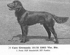 germania caro