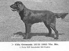 germania cilla